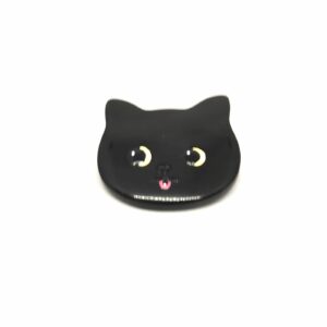 chat noir