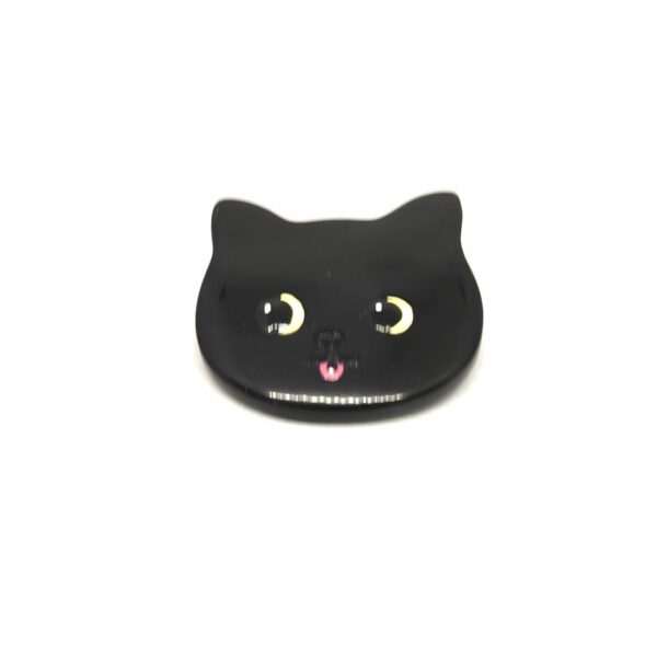 chat noir