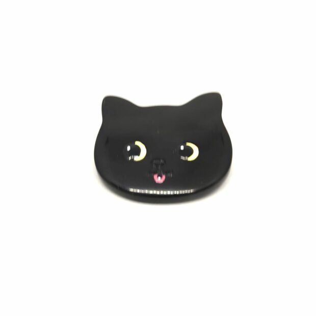 chat noir