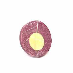 bag ficus 4